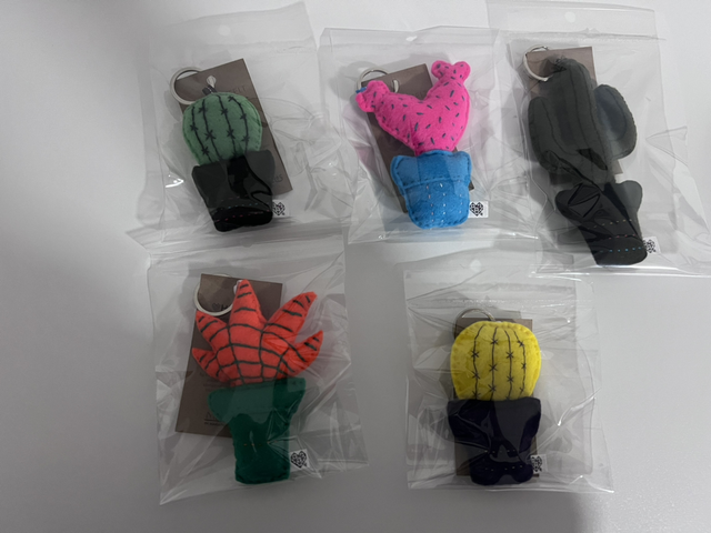 Cactus keyring 