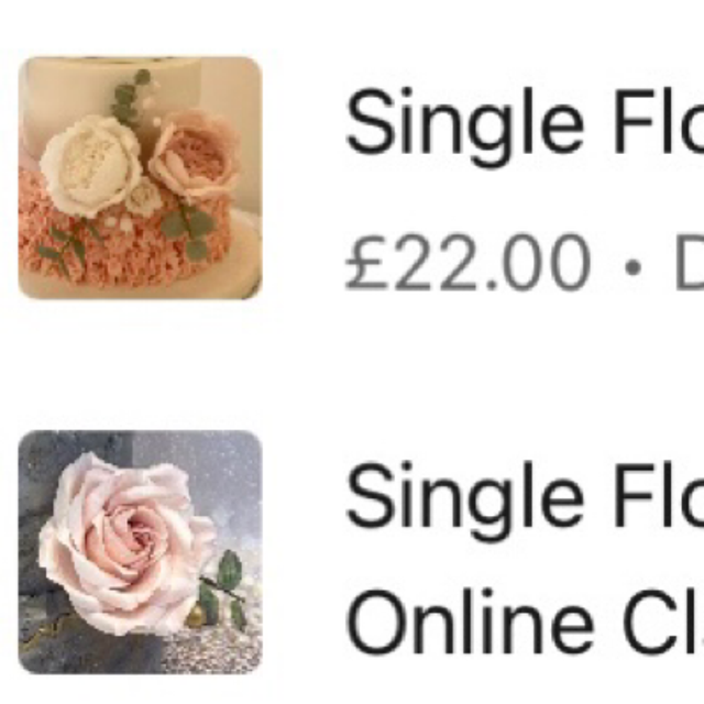 Special Offer - Open &amp; Closed Peony