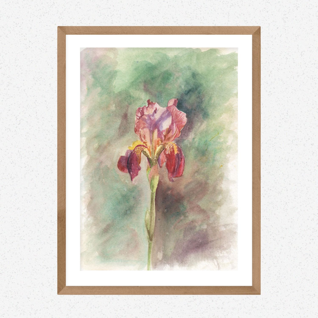 Iris print