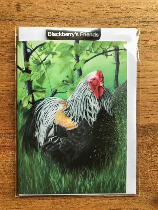 Greeting Card 'DE HAAN' (Konijnenparadijs)