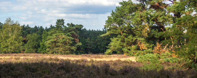 Verborgen Verleden (uitverkocht)