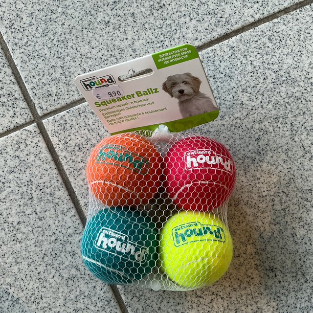 Outward Hound Squeaker Ballz