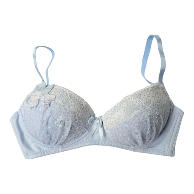 Baby blue cinnamoroll lace bra