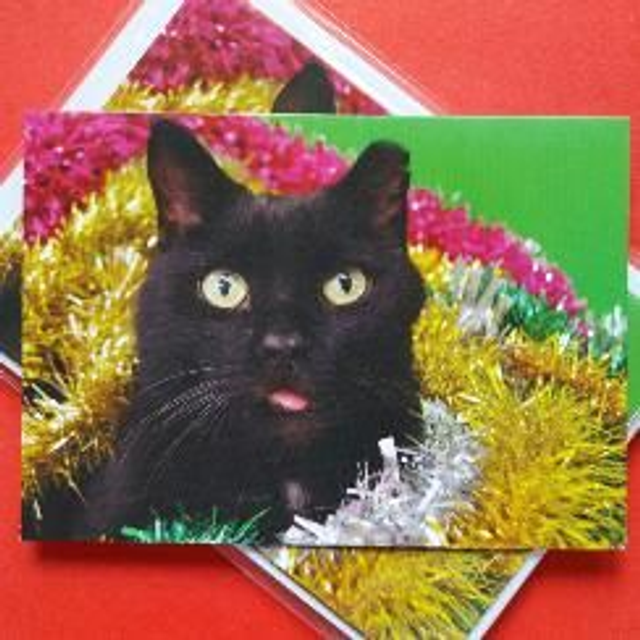 Christmas cards "Plug" 