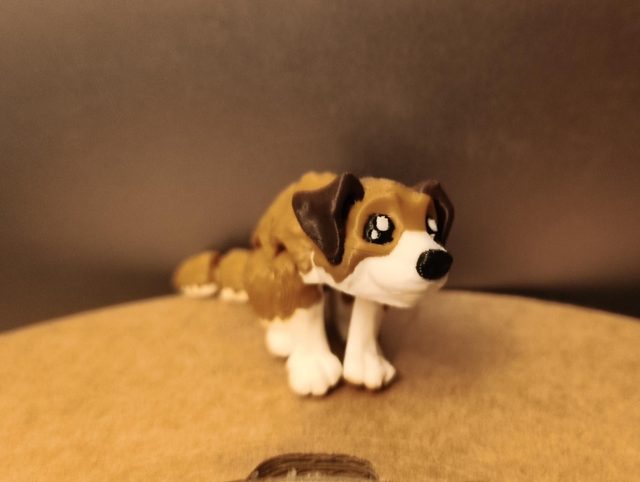 Milo the little puppy