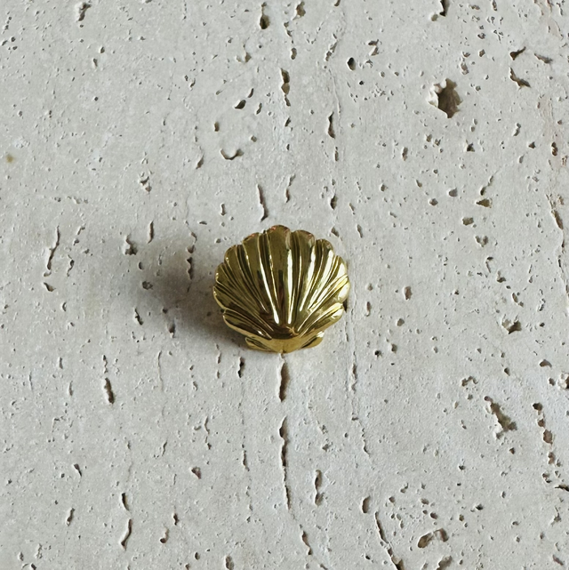 Broche schelpje 