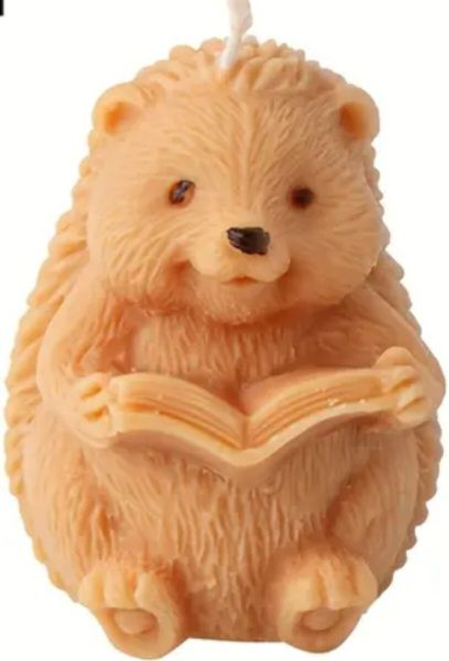 BOUGIE " HÉRISSON " LIVRE