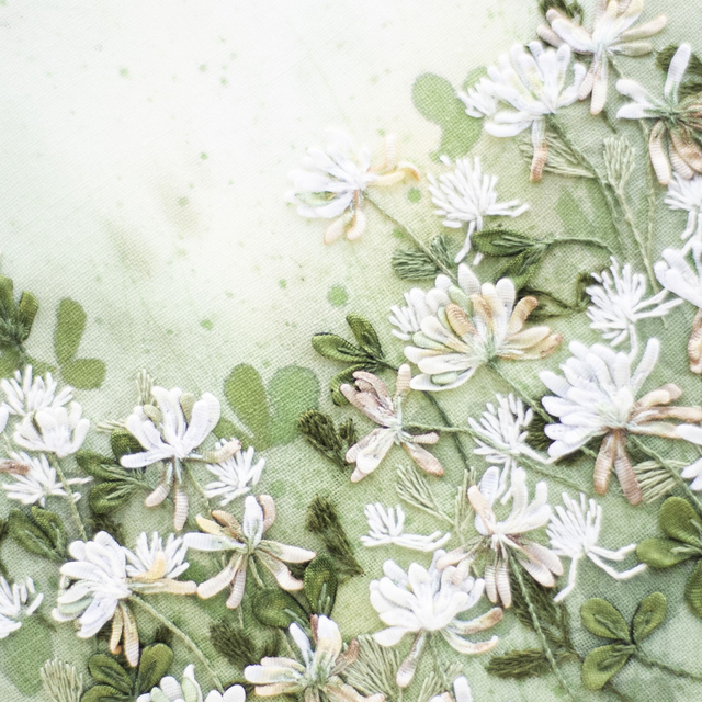 WHITE CLOVER | Botanical Study