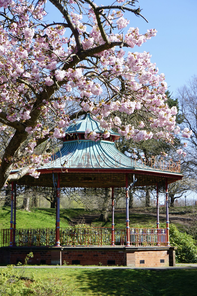 Bandstand is blooming - Print