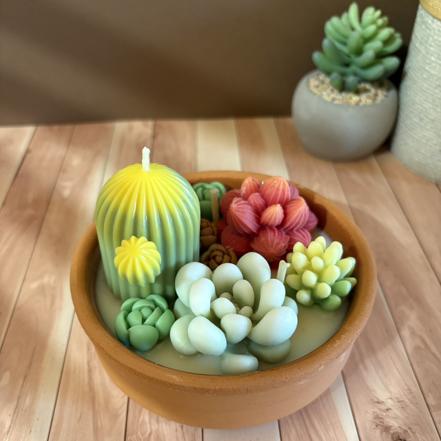 Cactus forêt Pablo - 262gr