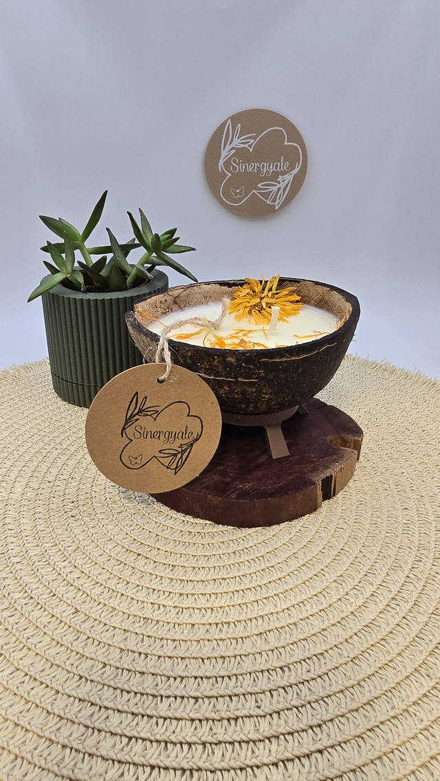 Vela en coco - Insólito