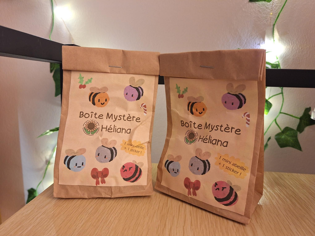 Boîte Mystère Noël ANTIGASPI