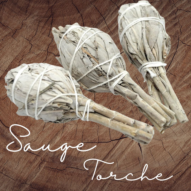Bâton de Sauge blanche  forme Torche 10 cm 