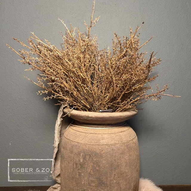 Wilgentakken, bosje van 3 takken.