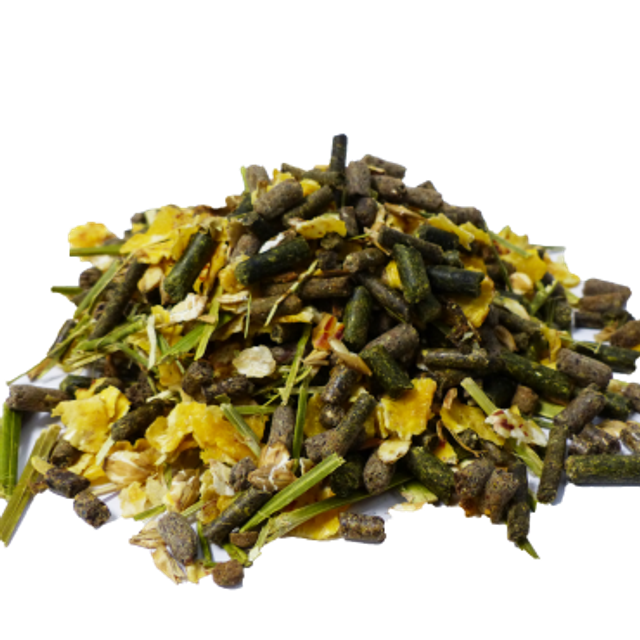 Futurity palette 50sacs