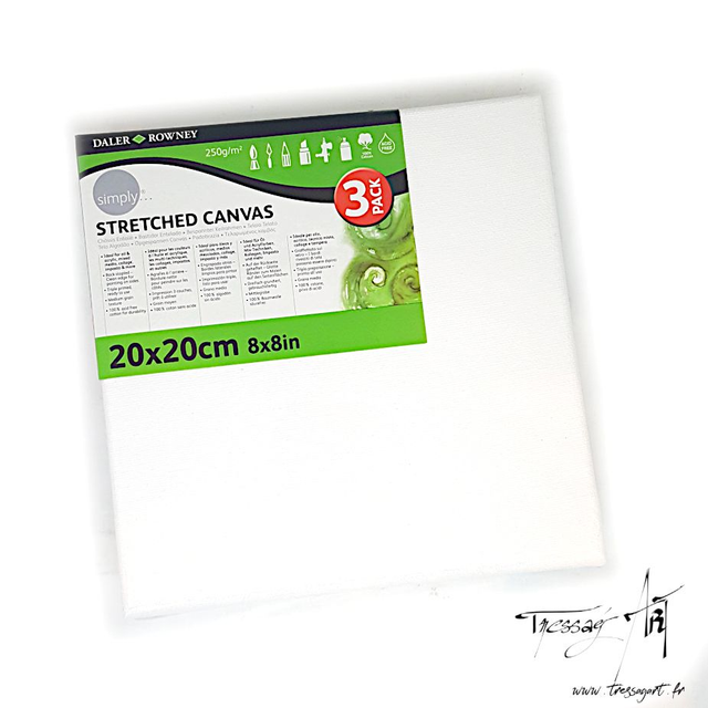 DALER ROWNEY - LOT DE 3 CHASSIS ENTOILE COTON SIMPLY 20*20 - CA114