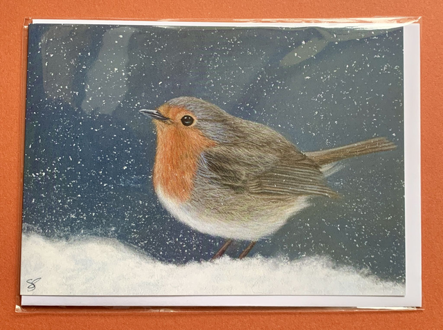 Christmas Card - Snowy Robin - Blank Inside