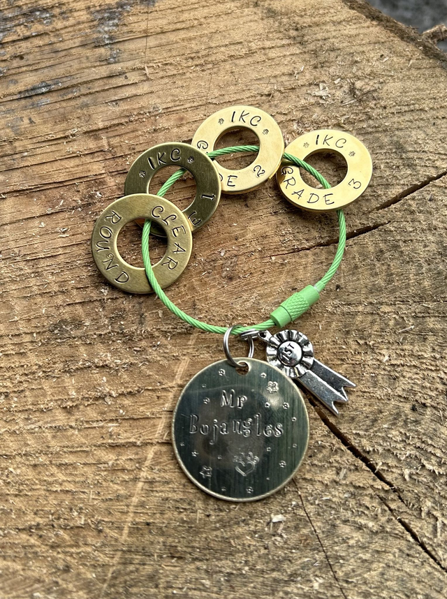 Personalised Agility Progression Keepsake