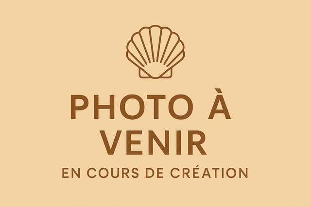Disponible en boutique - Photos à venir