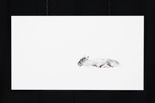 Photo &quot;Sérénité&quot; en grand format et très haute qualité