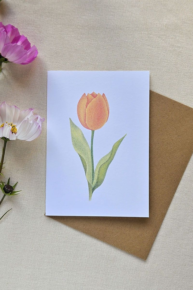 Carte au crayon de couleur - Tulipe