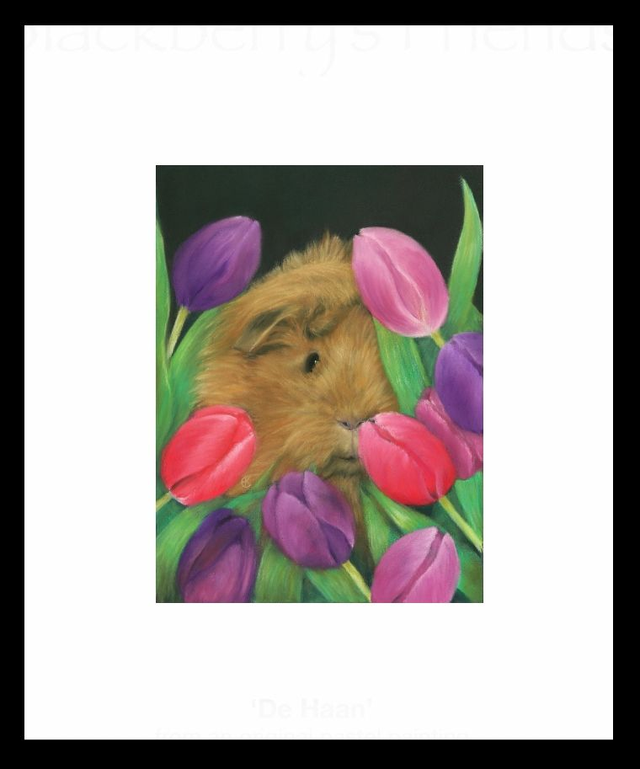 Print (large) 'JORIS' (Flappus)