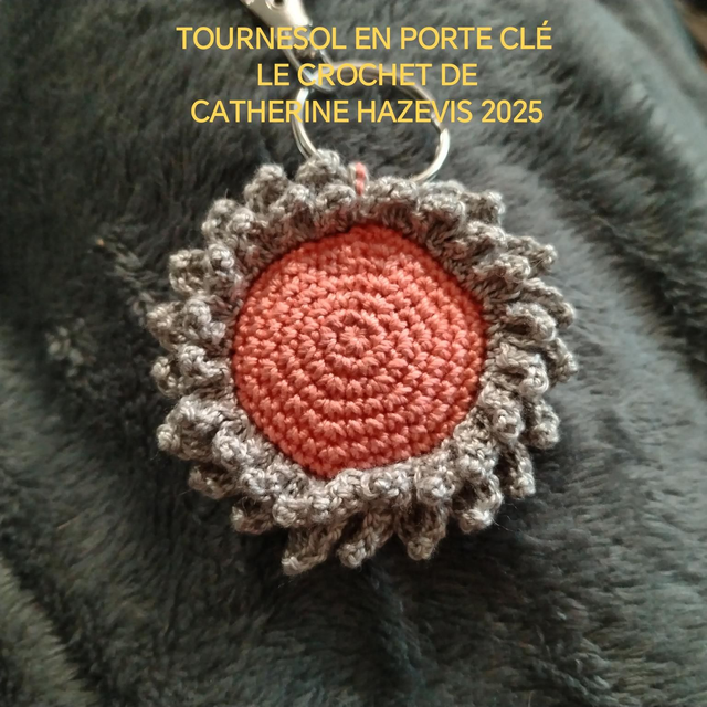 2025 TOURNESOL ROSE ET GRIS EN PORTE CLÉ 