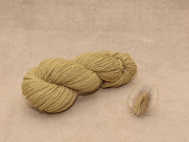 Mérinos Aran/Worsted - Echeveau 100g Rumex-Frêne