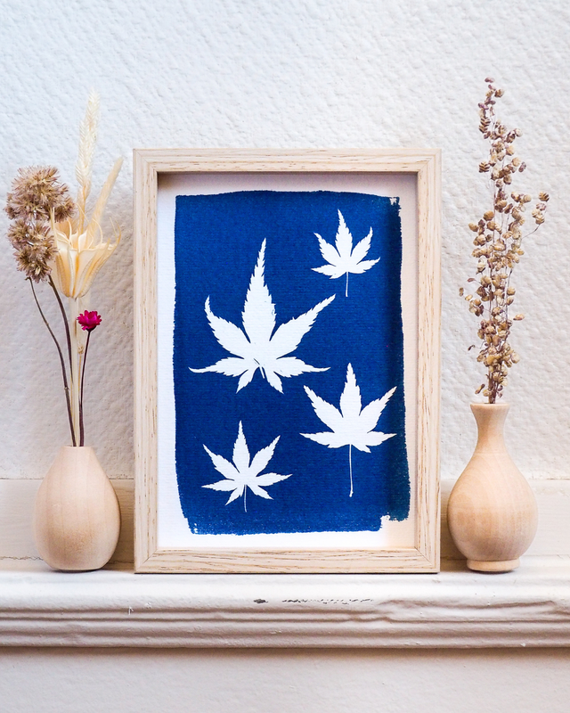 Petit Format - Feuilles d&#039;érable