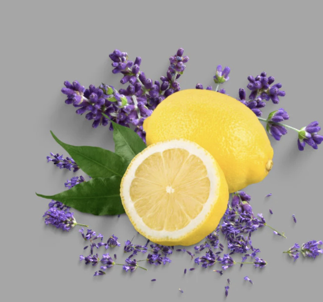 Lemon Lavender 