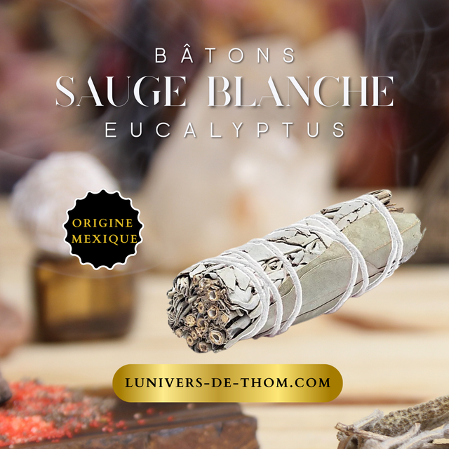 Smudge Sauge blanche &amp; Eucalyptus – bâton