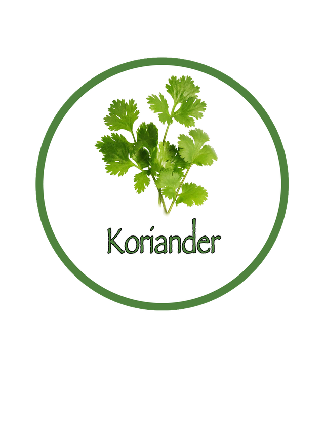 BIO Kräuterpellets Koriander