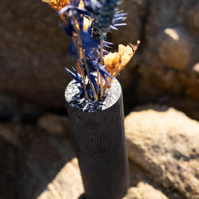 Soliflore Colosse noir - Huitres