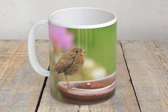 “Singing Baby Robin” Mug