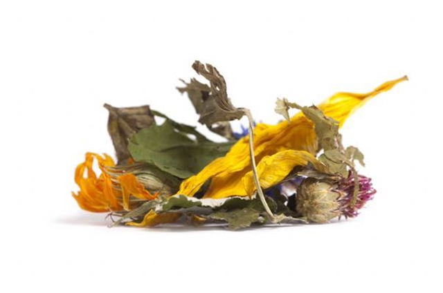 Tisane REMÈDE ELFIQUE / Les Jardins De Gaïa