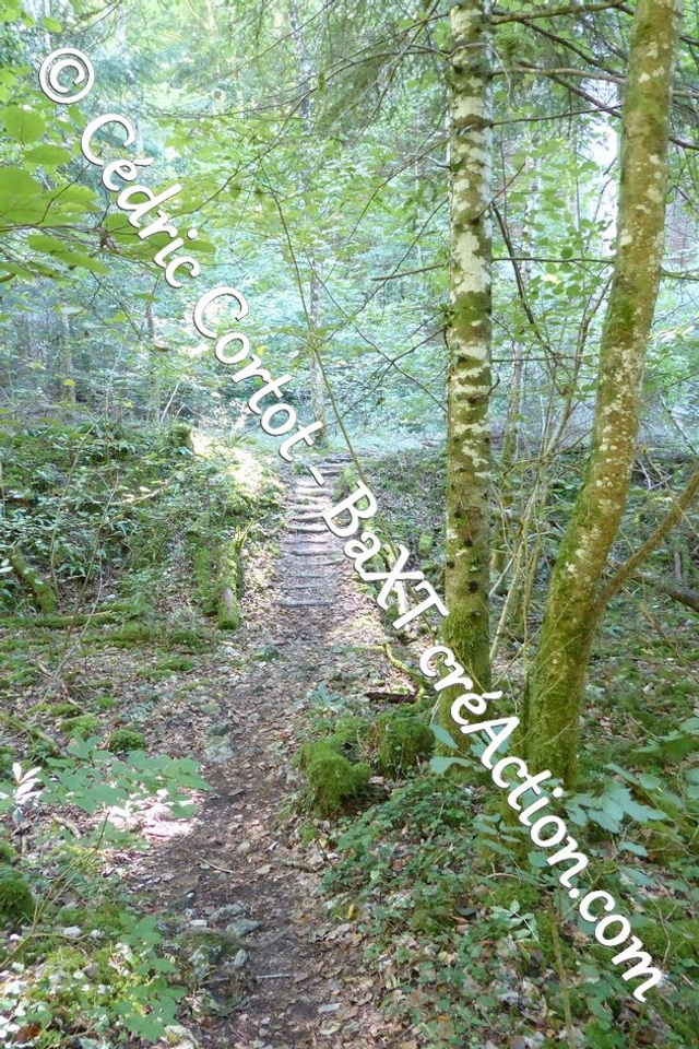 Impression sur alu dibond - Paysages et divers (ref P1170240)