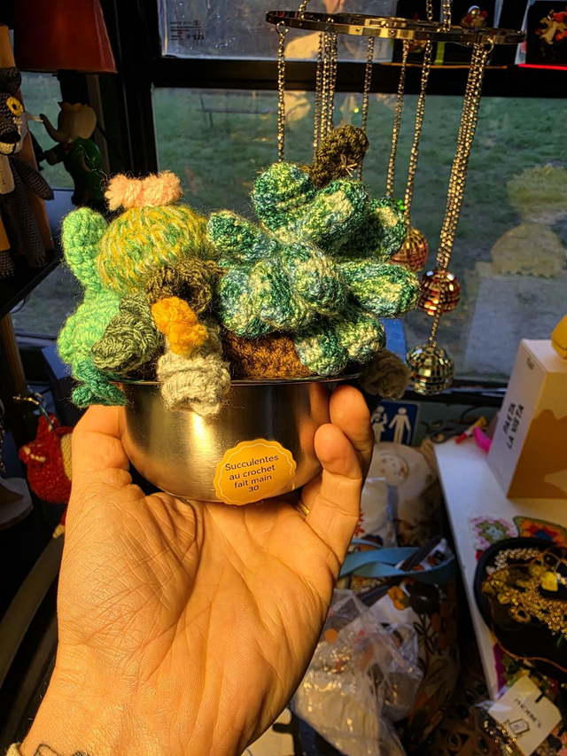 Succulentes au crochet