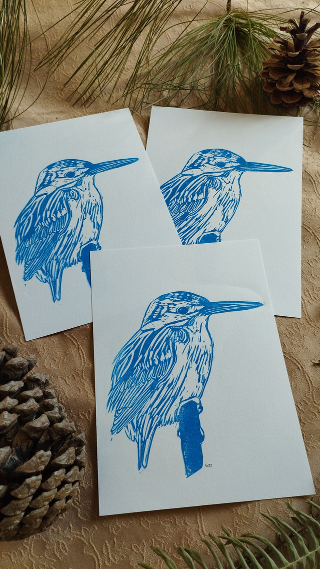 Illustration Oiseau Martin Pêcheur d'Europe en linogravure, couleur bleue