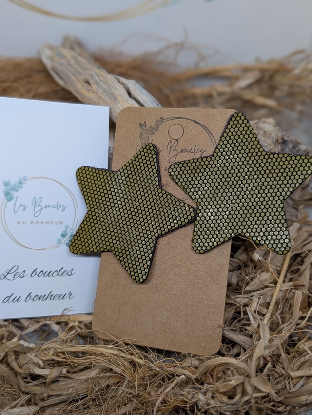 Boucles d&#039;oreilles Étoile kaki st060