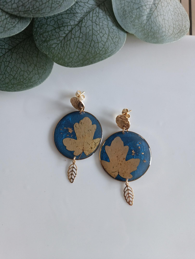 Érable de Montpellier 