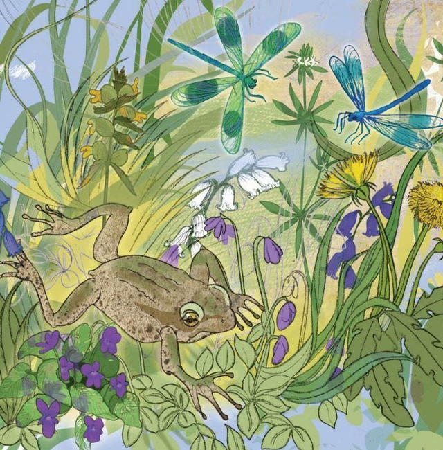 Greetings Card Froggie 