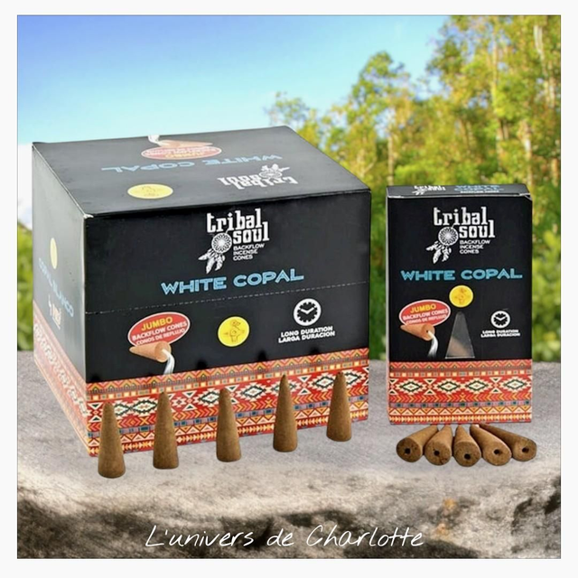 Cône d'encens "Copal"