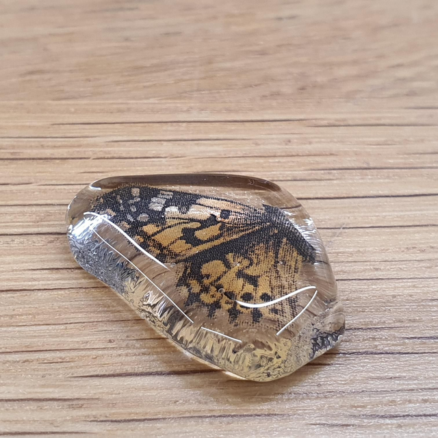 e100 Painted Lady butterfly stud earrings