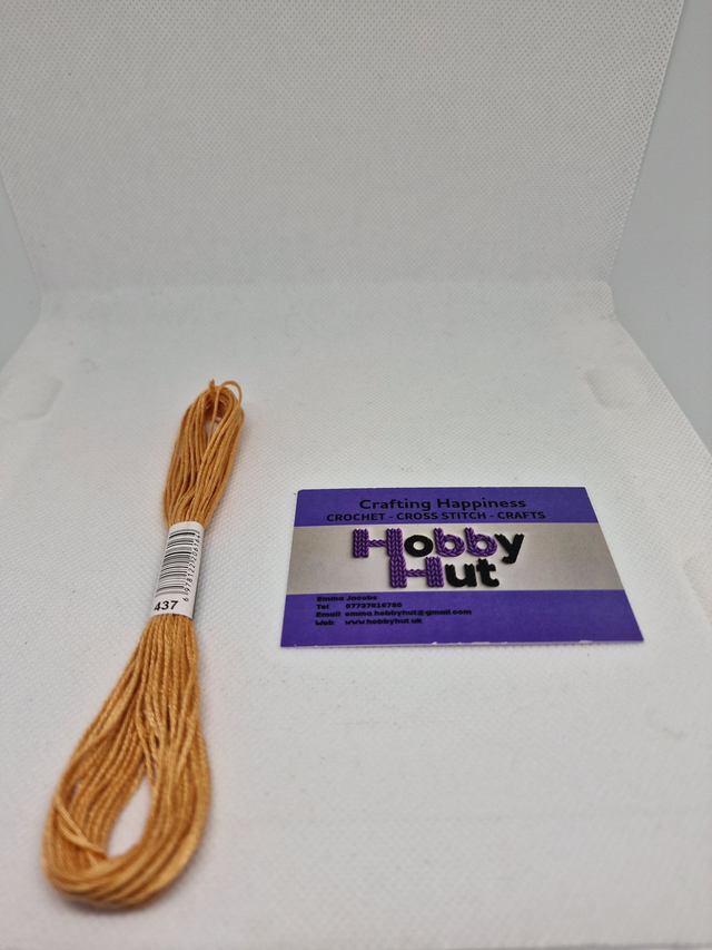 Embroidery Thread - 437