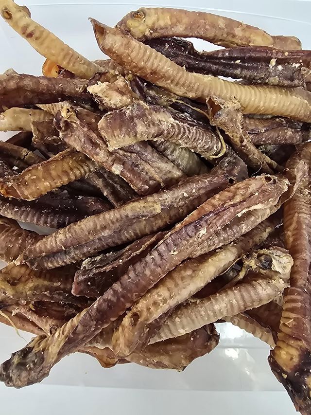 Lamb Trachea Air Dried