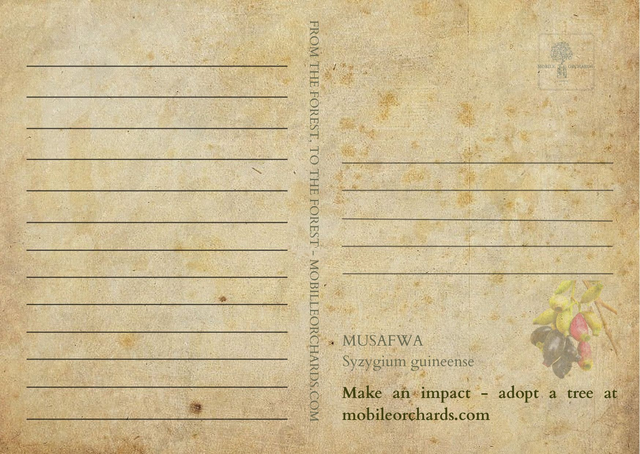 PRE ORDER set van 8 kaarten over de bijzondere bomen uit het miombo bos