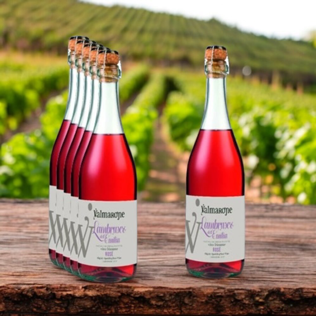 LAMBRUSCO - 75 cl 