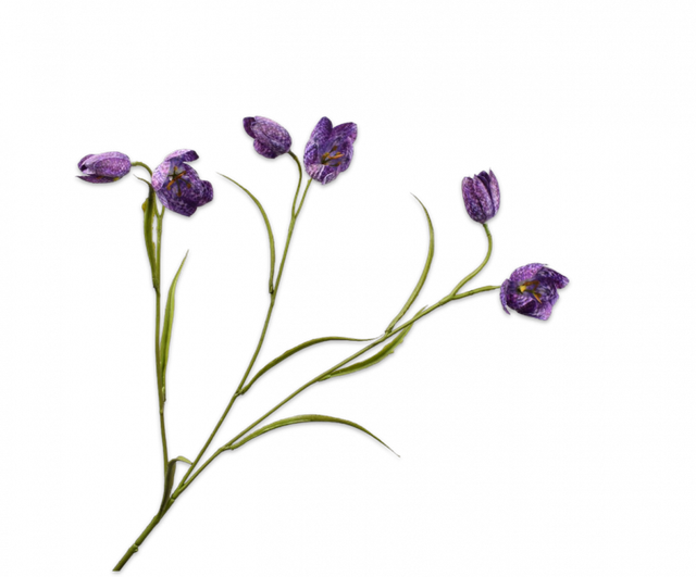Silk-Ka Fritillaria Tak Lavendel 