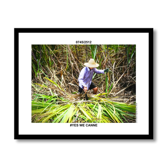 0745/2512 #YES WE CANNE