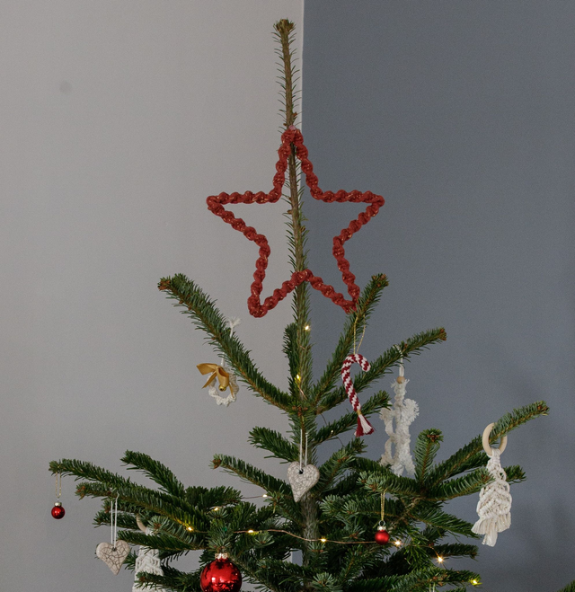 MAIA ~ Etoile de Noël